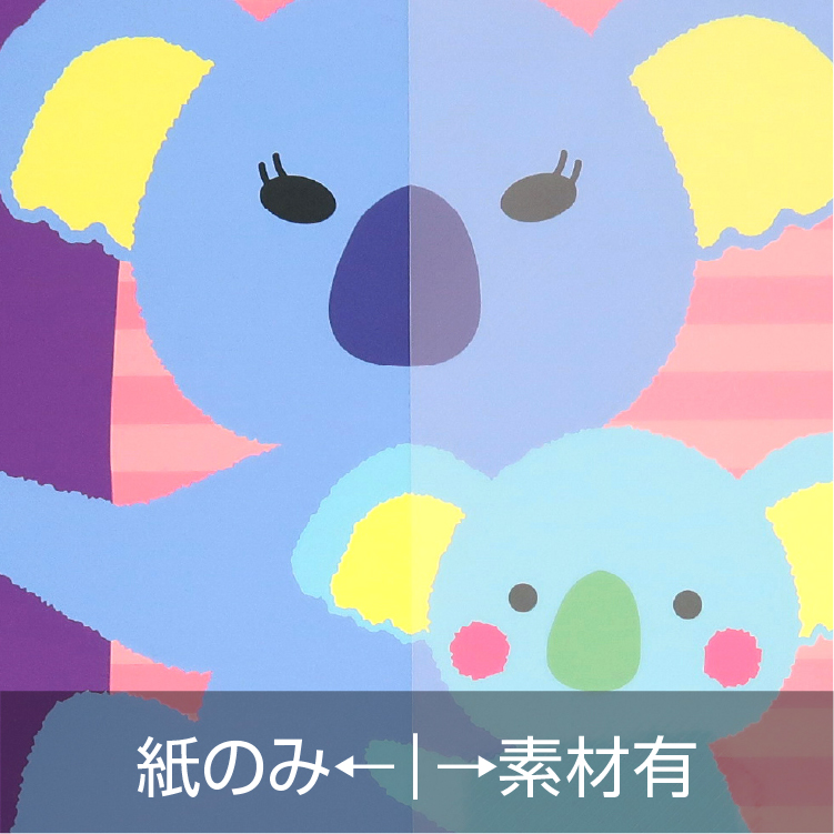 スーパーラインpp-透過-写真