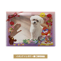 イオンファンタジー様フォトケース-写真