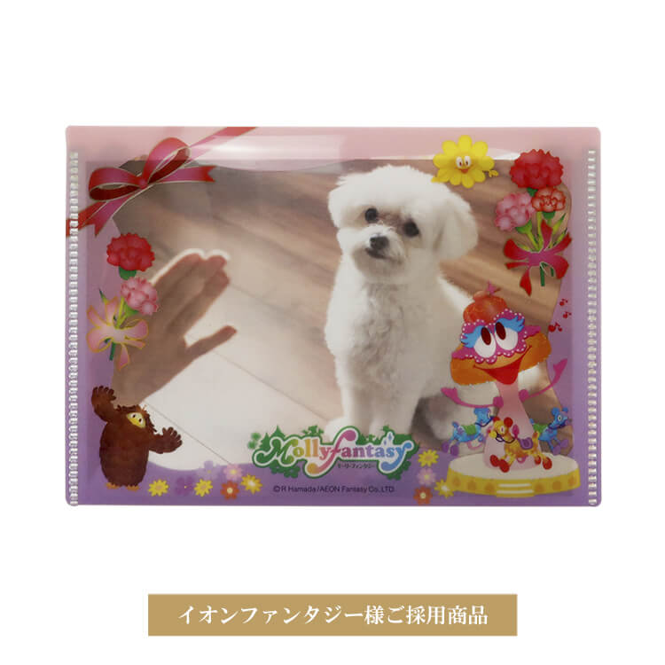 イオンファンタジー様フォトケース-写真