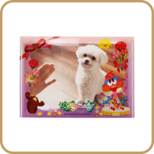 イオンファンタジー様フォトケース