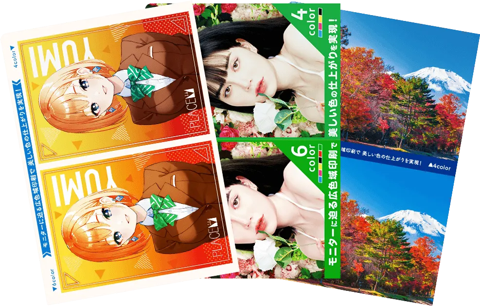ダイドウカラーサンプルデザイン写真